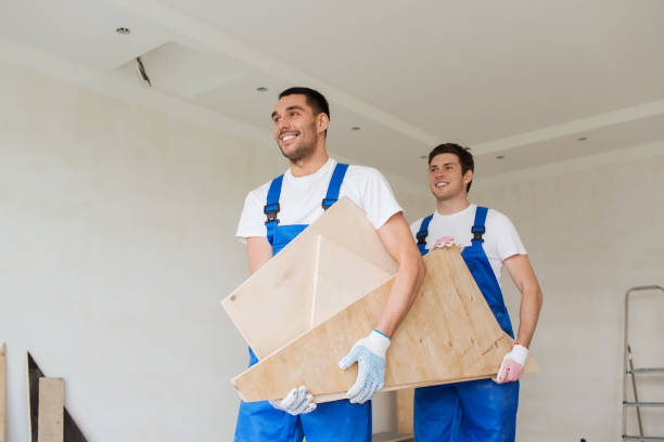 Best Shed Removal  in Lanse, MI